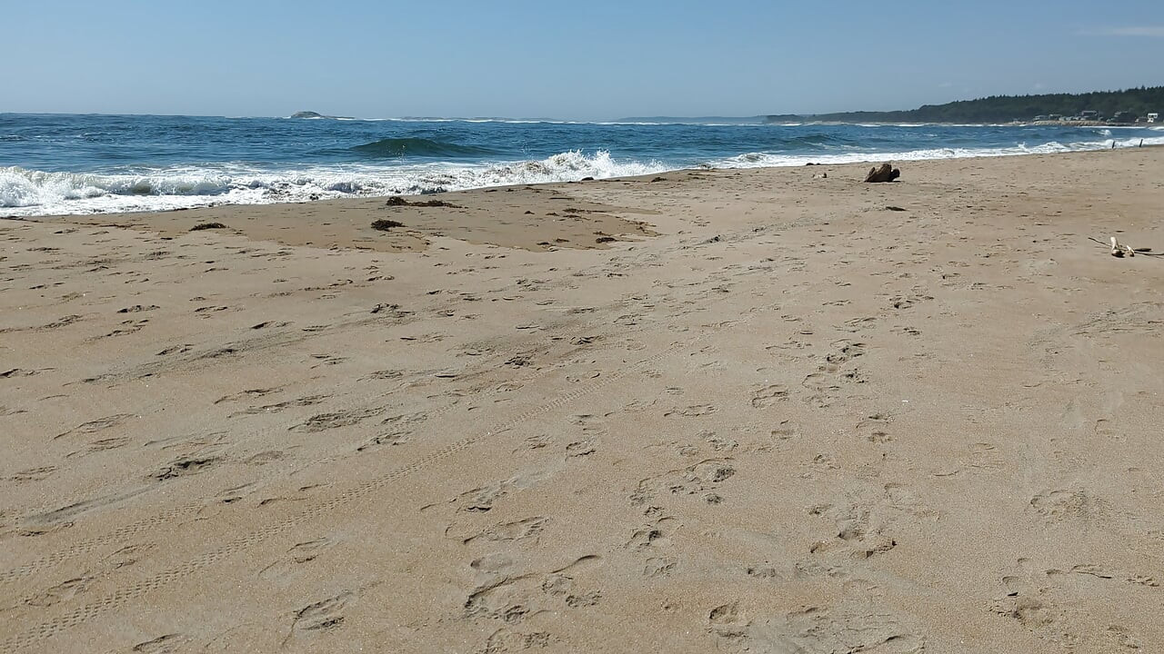 Fantastično pišanje na plaži