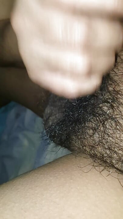비서 빨기 베르가