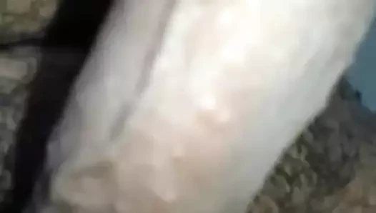 benim horoz senin için
