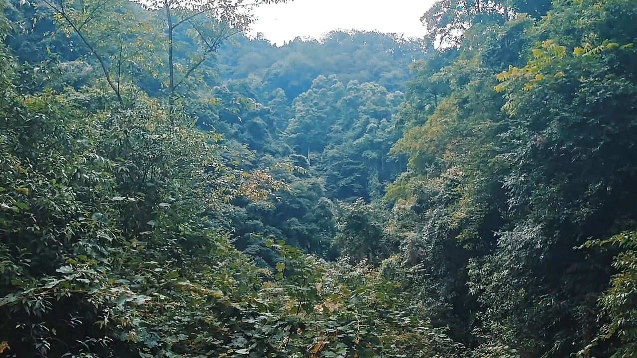 A wild boy masturbates, moaning and ejaculating by a stream in the deep mountains, and then eats his own semen