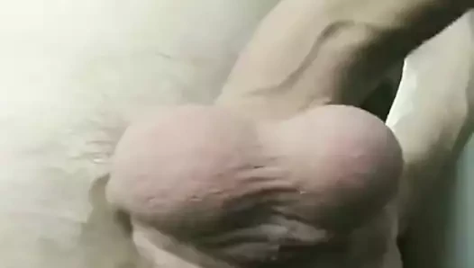 benim Alman büyük horoz