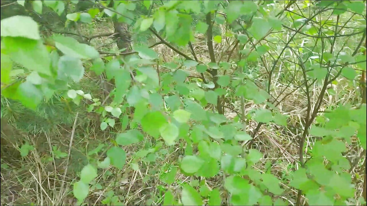 Forest Orgasm