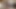 هيمنة الكعب الافتراضية: أطعني من بعيد