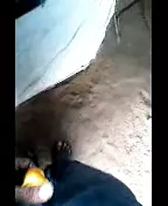 Σατέν πούτσα που αναβοσβήνει