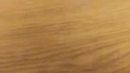 Boşalma 4