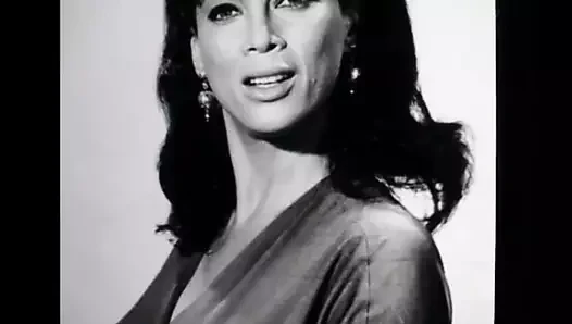 Marie gomez - döl haraç