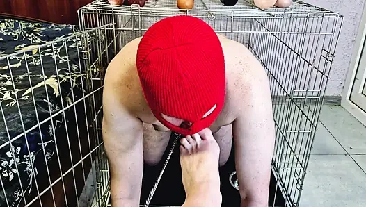 Dominatrix Nika allows the slave to crawl out of the cage so that he kisses, licks her feet, sucks her toes.