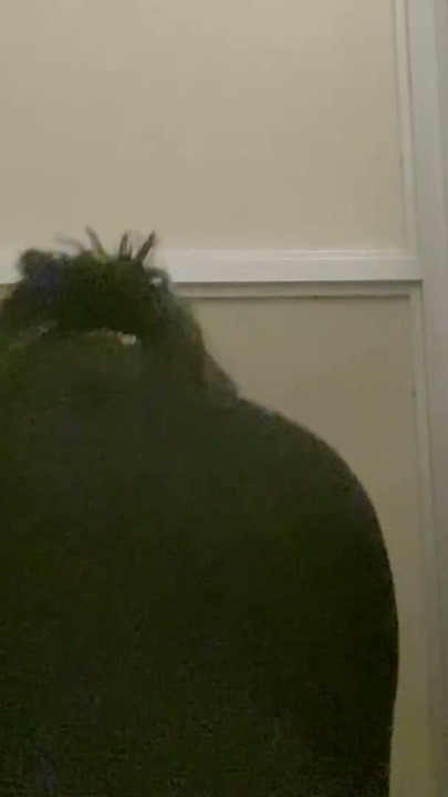 Compilation of pissing in public restrooms | Clip 1