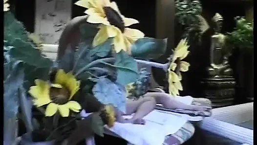 Alman Kapılarının Arkasında Özenle Siktir Edilir - Tam Film