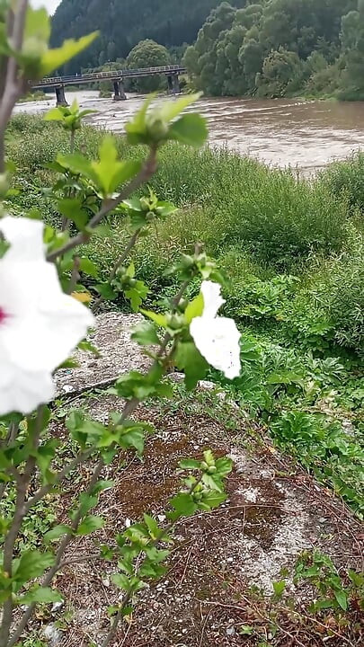 캔디스블루 비디오