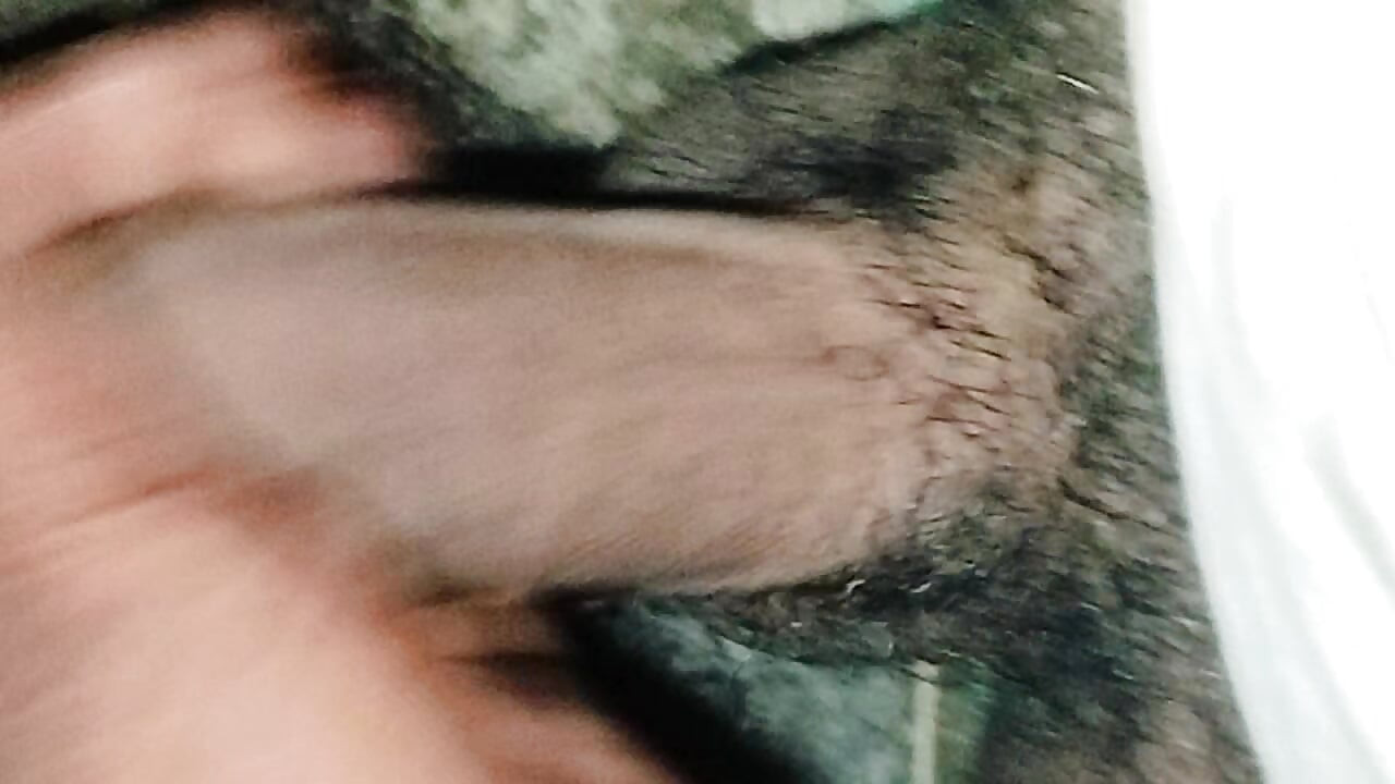بي إم بريليانت