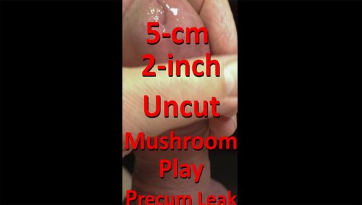 5cm 2inch Uncut Mushroom Play for Precum vazando w audio ao vivo