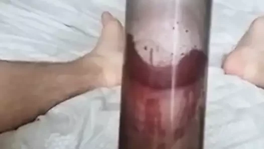 Yavru horoz üzerinde horoz pompası