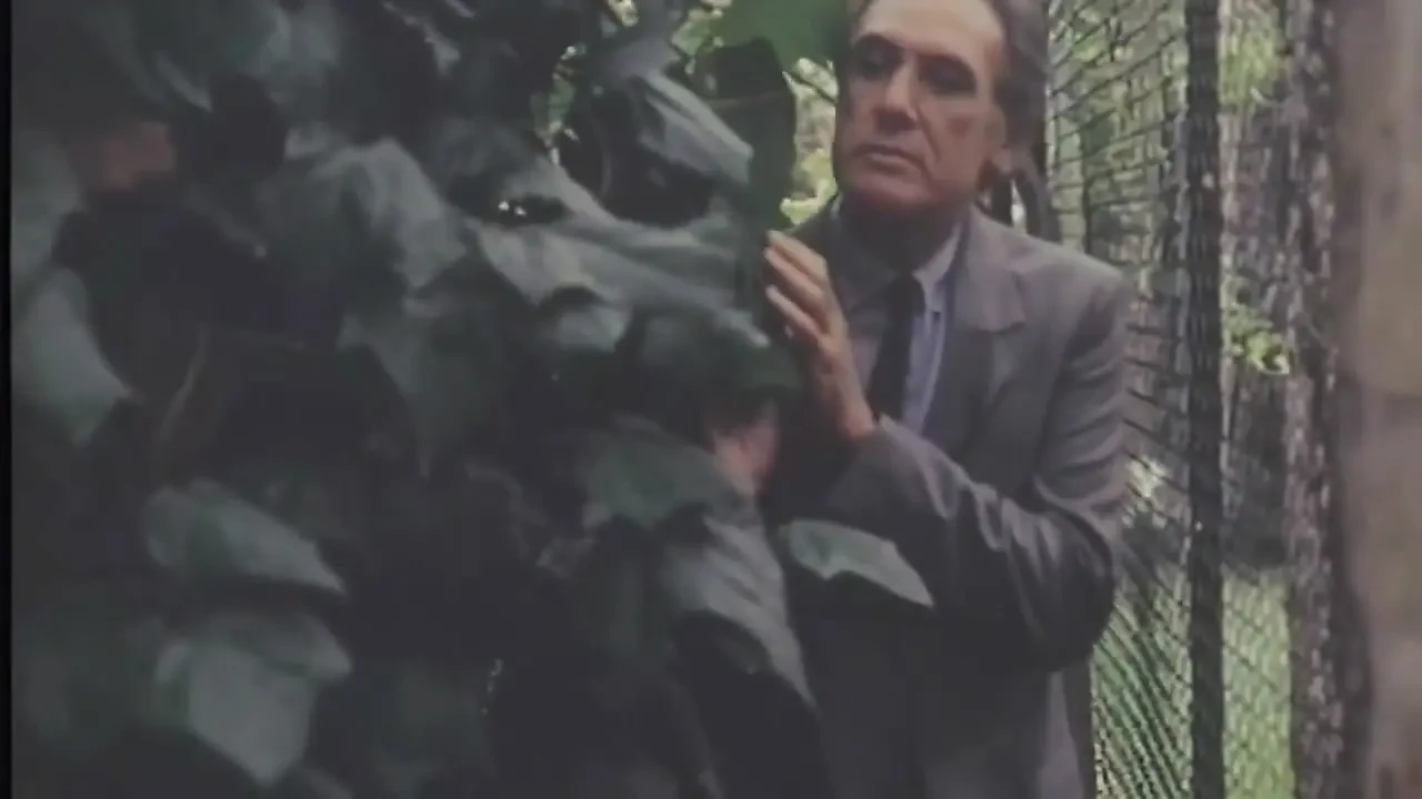 Her Husband Spies on Her While She Gets Fucked by the Gardener.