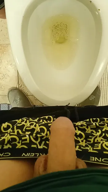 Pissing on my friend toilet #13