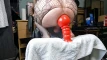 Pregled videozapisa