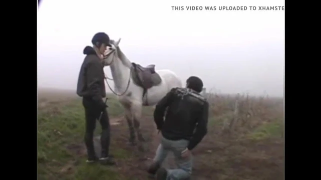 TheHorseRider reimagined