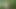 Kudoslong outside in the woods strips and wanks