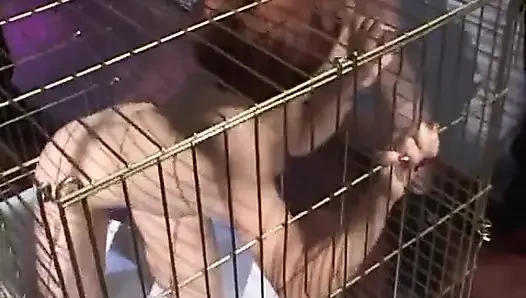Submissive slut blowing police officers dick while in cage