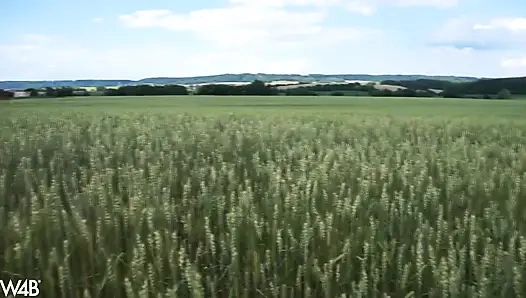 In der tschechischen Landwirtschaft