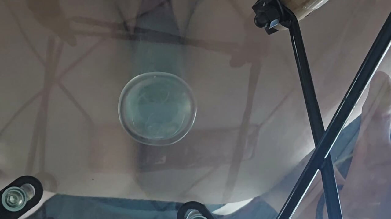 Close Up διαφανές Dildo γαμήσι