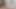 Can you Fuck with that Tiny Cock? Newbie at MamsCasting