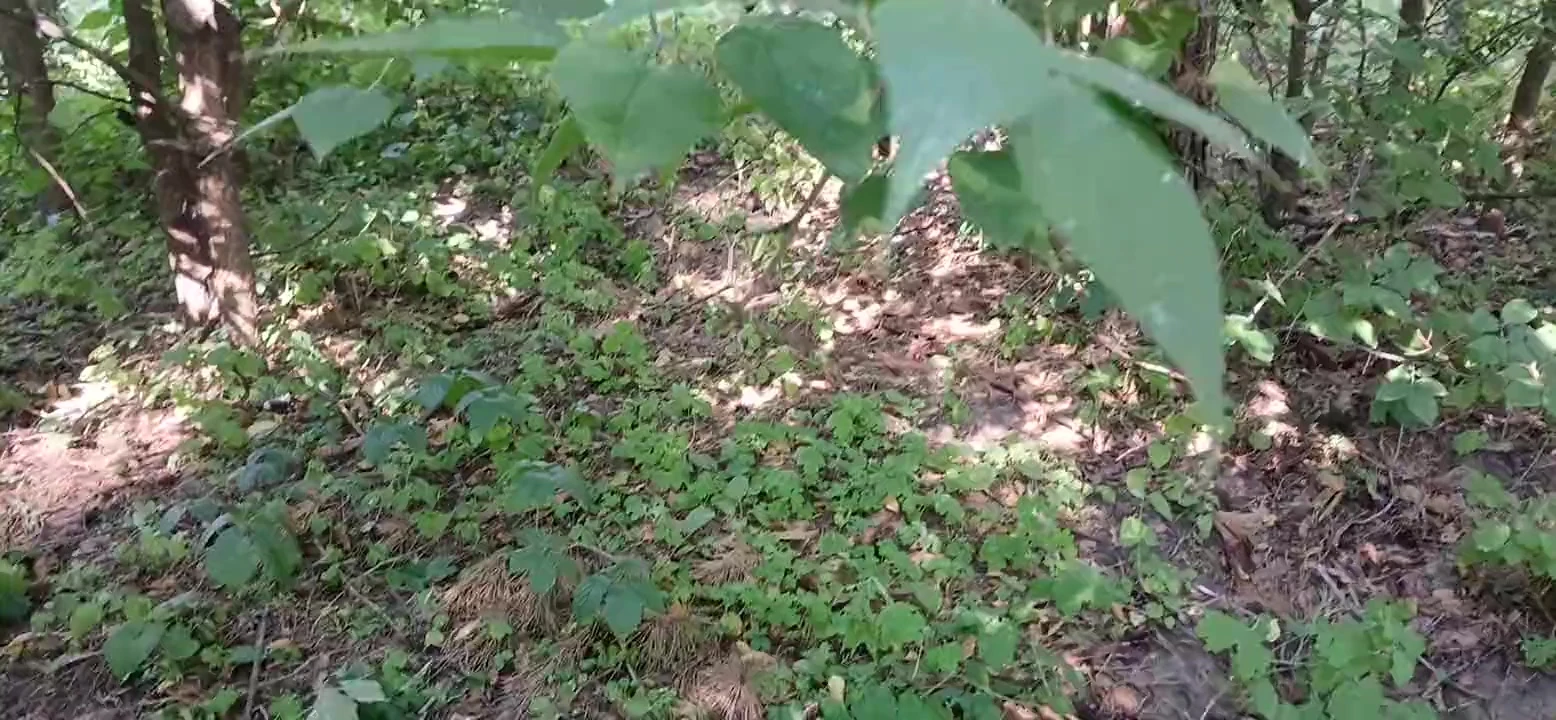Kız arkadaşım ve ben halka açık bir yerde mastürbasyon yaparak risk alıyoruz