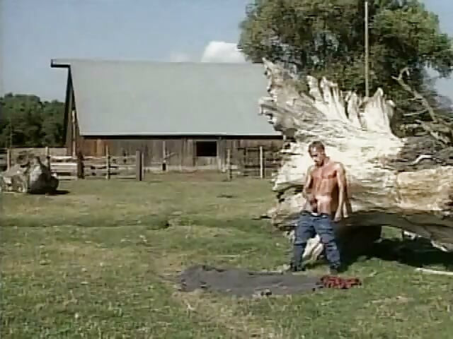 Roll in the Hay 3