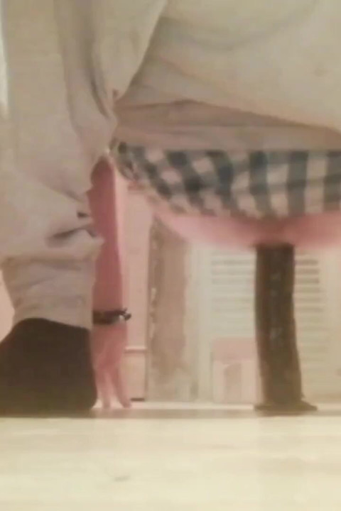Young ass is hungry