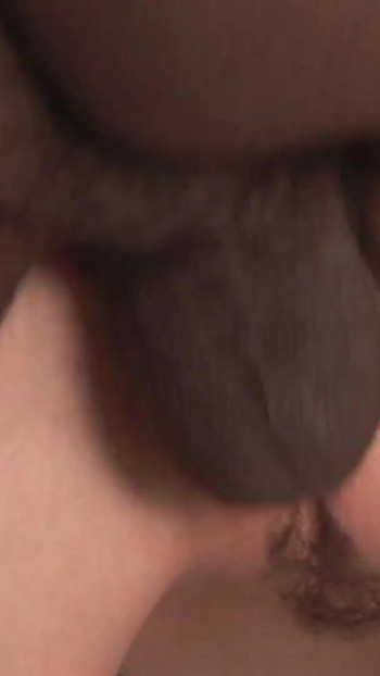 Key moment from "Brunette teen 22 Jahre fickt BBC am Pool und wird vielleicht erwischt"