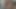 Güzel büyük kedi için yalamak