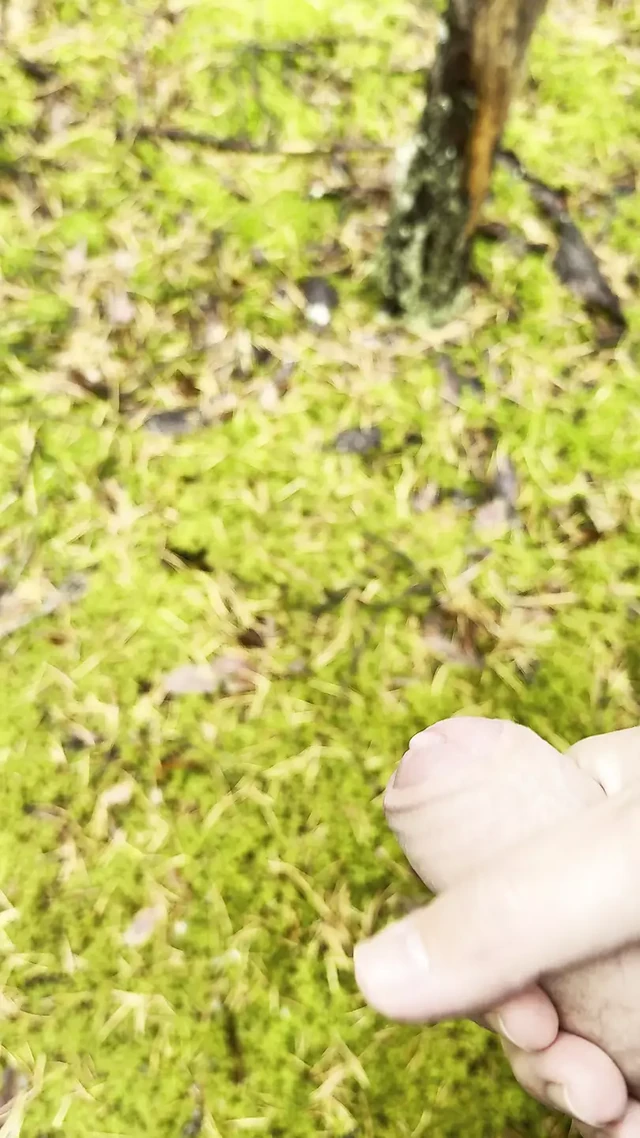 Jerking off in the forest with fast cumshot