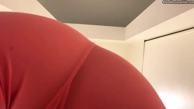 Sign away your soul, to my ass!