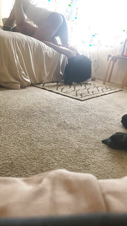 Big Dicking the Pussy
