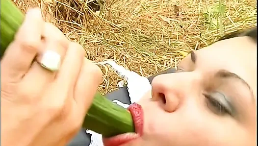 Brunette Enjoys Herself with a Cucumber Outdoors