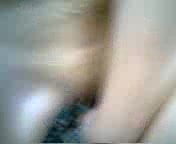 enjoy