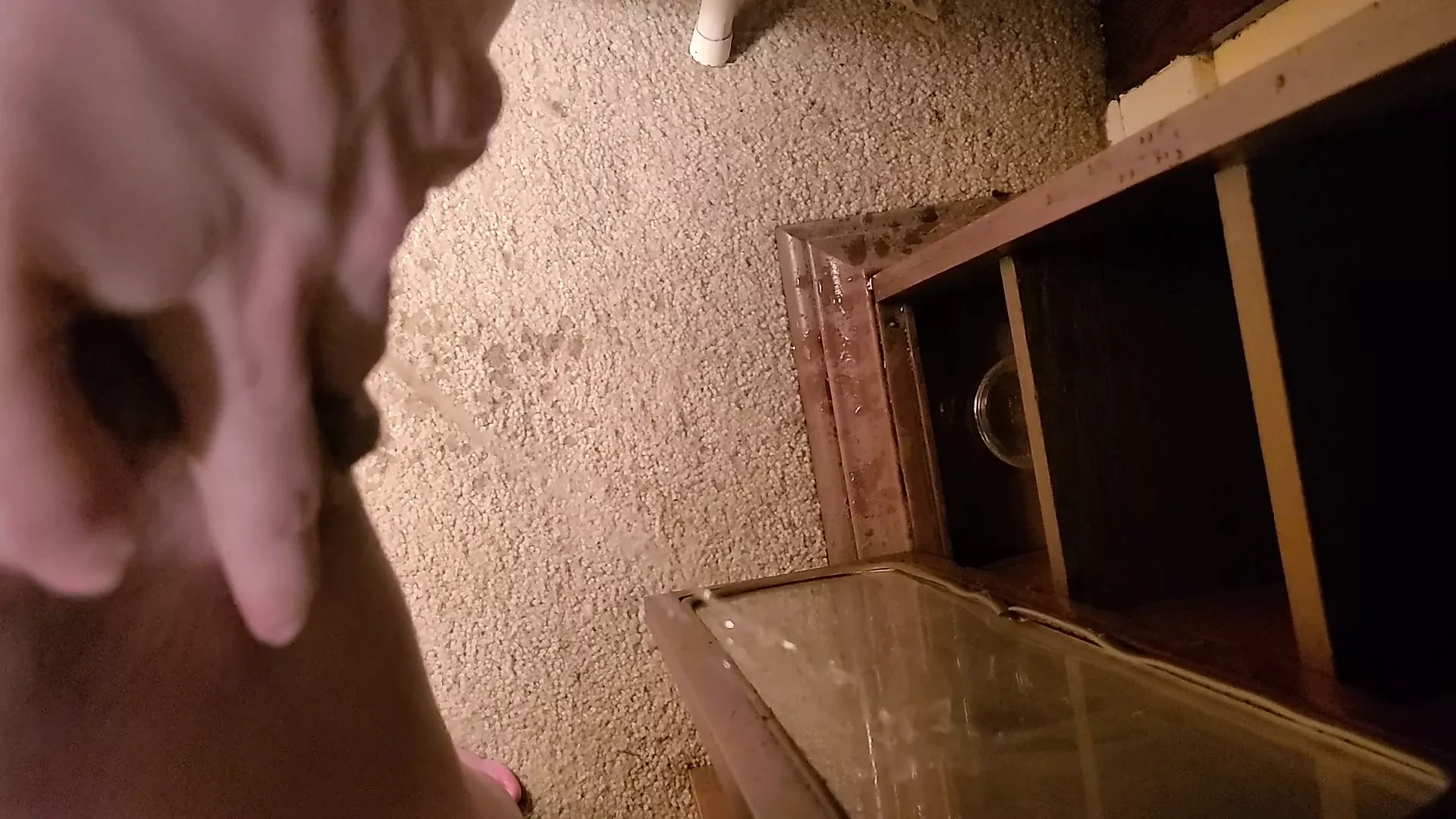 Piss in a clock