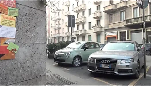 Babi di lingkungan