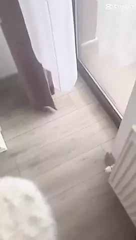 Video sinfullmilfxd