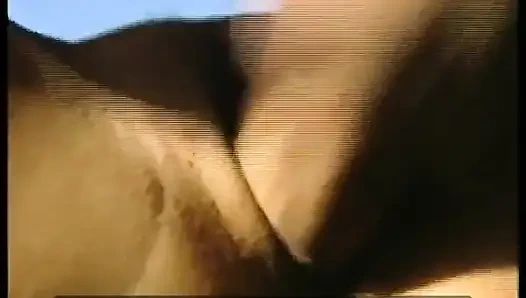 Alman Kapılarının Arkasında Özenle Siktir Edilir - Tam Film