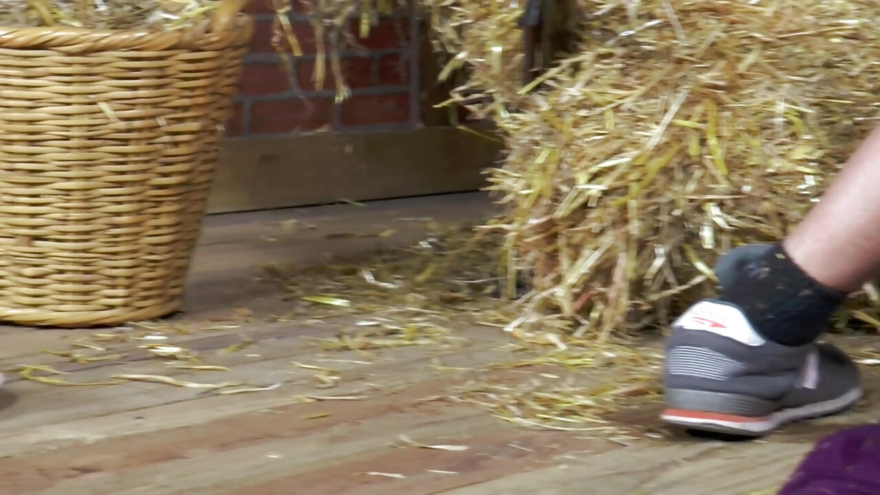 Hot anal sex with sexy brunette at the barn