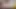 Transgirl livestream compilation