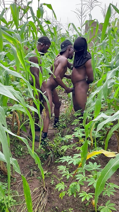 Como eu fiz sexo com esse cara thuggish com enorme pau longo dentro de uma terra de fazenda de milho