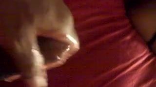 My wfie's Pussy Video-3