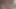 Ben ıslanıyorum ve o sert sik benim amımı patlatmaya hazır