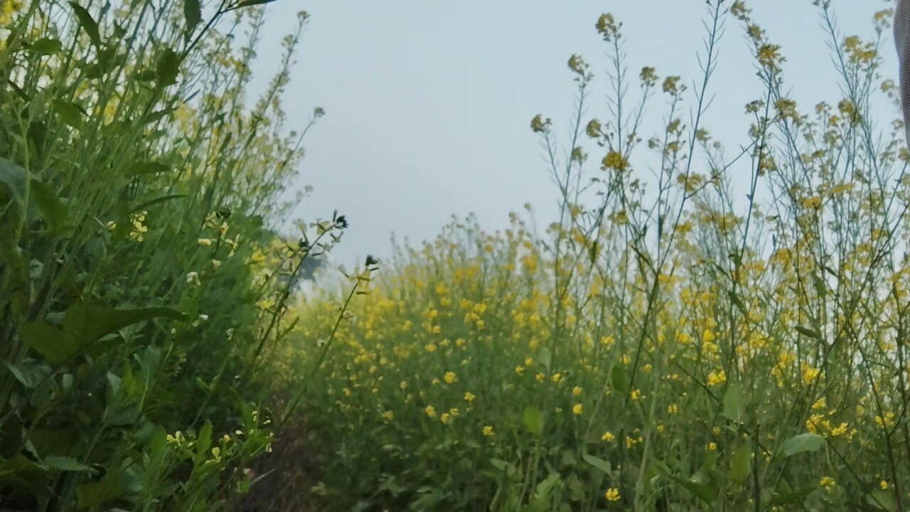 Handjob time hugay sex live