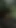 Epic moment from "Monika Fox In Pink Top And Yellow Shorts Walks Through Jungle And Waterfalls"