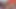 Snr壮大なカップル2