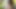 Cheerful Lukerya in a white T-shirt and fishnet stockings in the kitchen near the washing machine excites fans with her