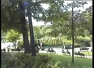 Una foresta